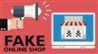 en vignet om fake websites