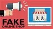 en vignet om fake websites