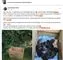 screendump fra Facebook