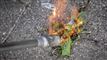 en gasbrænder svitser ukrudt