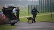 politi med hunde arbejder