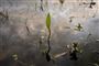 søområde