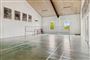 badmintonbane