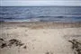 en strandkant