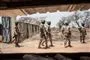 Militær i Nigeria