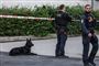 Flere betjente og en politihund er til stede i Herlev mandag morgen.