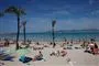 strand med palmer