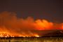flammer over skov