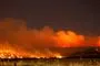 flammer over skov