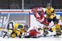 ishockeyspillere