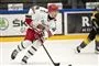 ishockeyspillere