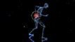 et x-ray af en person