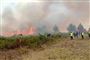 Brandmænd ses mandag bekæmpe en skovbrand i regionen Amazonas i det nordlige Peru. Blandt andet klimaforandringer ligger til grund for brandene, siger landets præsident.