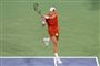 tennisspiller