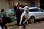 mand bærende en hund