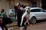 mand bærende en hund