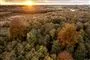 solopgang over efterårsklædt skov