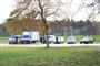 politibiler holder ved park