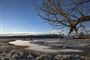 Der var frost i Danmark i sidste uge, men nu har mildere temperaturer vist sig. (Arkivfoto).