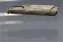 skriftrulle