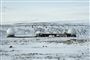 Pituffik-basen er det eneste tilbageværende amerikanske forsvarsområde i Grønland. Basen hed tidligere Thule. (Arkivfoto).