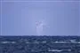 Vindmøller på havet