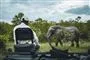 person sidder i bil med elefant i baggrunden
