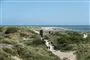 en klit ved Vesterhavet