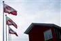 grønlandske flag vejrer i vinden