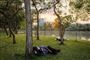 folk sover i park
