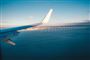 Et fly i luften