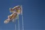 hvide flag med firmalogo