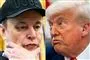 Trump og Musk