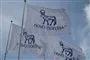 flag med novo nordisk-logo