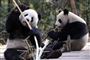  Foto: AP Photo/Xinhua, Chen Xie / POLFOTO