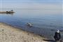badende person ved en strand