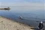 badende person ved en strand