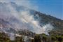 en skovbrand