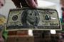 Hunde skal lugte sig frem til gemte dollar-sedler. Foto: AP Photo/ RJ Sangosti/ The Denver Post / POLFOTO