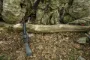 En træstamme i midten af billedet med camouflageklædte soldater siddende på og et gevær hvilende foran