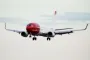 et fly i luften