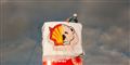 Foto: Uggi Kaldan / Greenpeace free