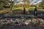 blomster ligger i park