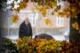 mand går i skov i efterårsfarver