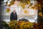 mand går i skov i efterårsfarver
