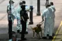 politi med hunde ved et tog