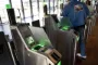 Scannere til boardingkort i lufthavn