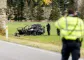 Totalsmadret sort bil på en græsmark