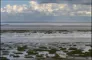 Vadehavet fotograferet fra strandkanten, mens det er lavvande