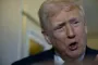 donald trump taler